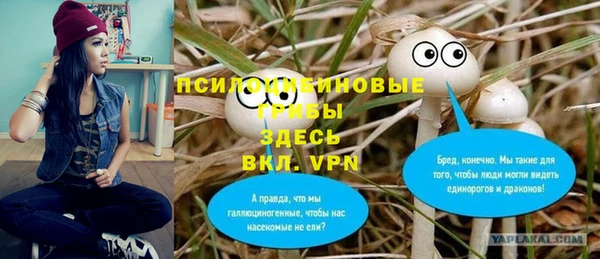 сатива Белокуриха