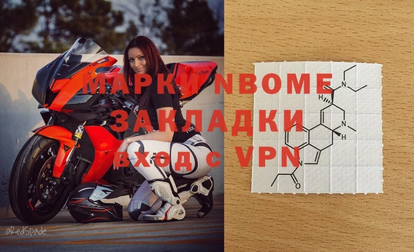 сатива Белокуриха